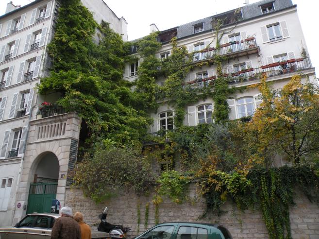  immeuble envahi par la verdure, 14, rue Cuvier